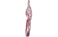 Beef Pistola hindquarter