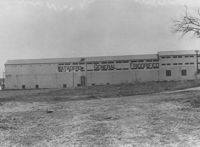 1966