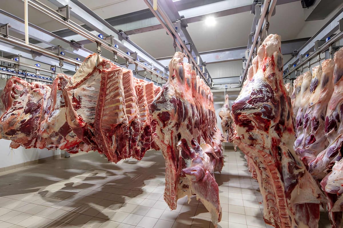 Spanish beef exporter Asia shipment container